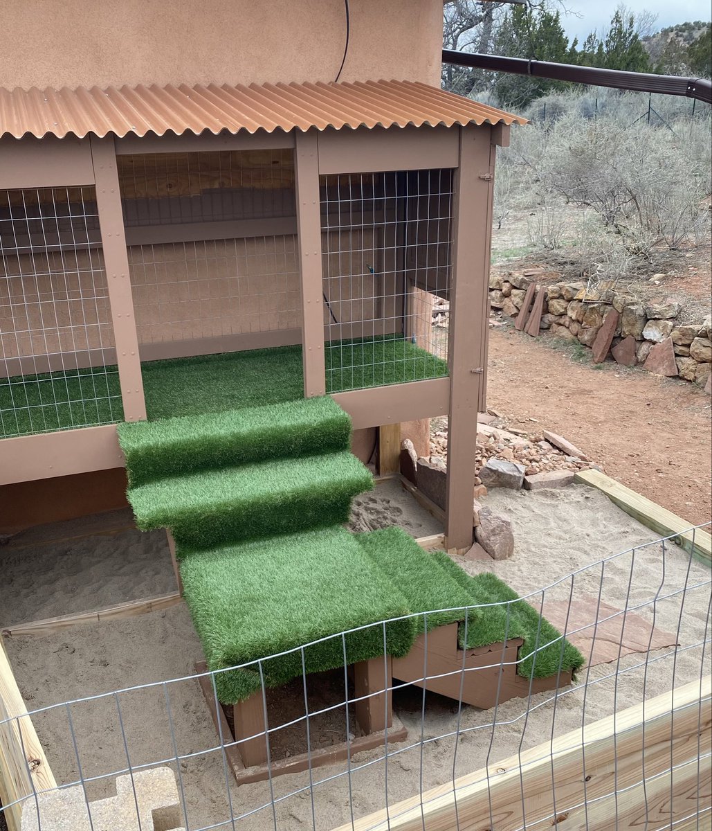 HeidiSocial's tweet photo. My dogs have no idea how good they have it. Their dog house is now also a sandbox. #SpoiledPups ๐พ https://t.co/hkKfQOS3HY