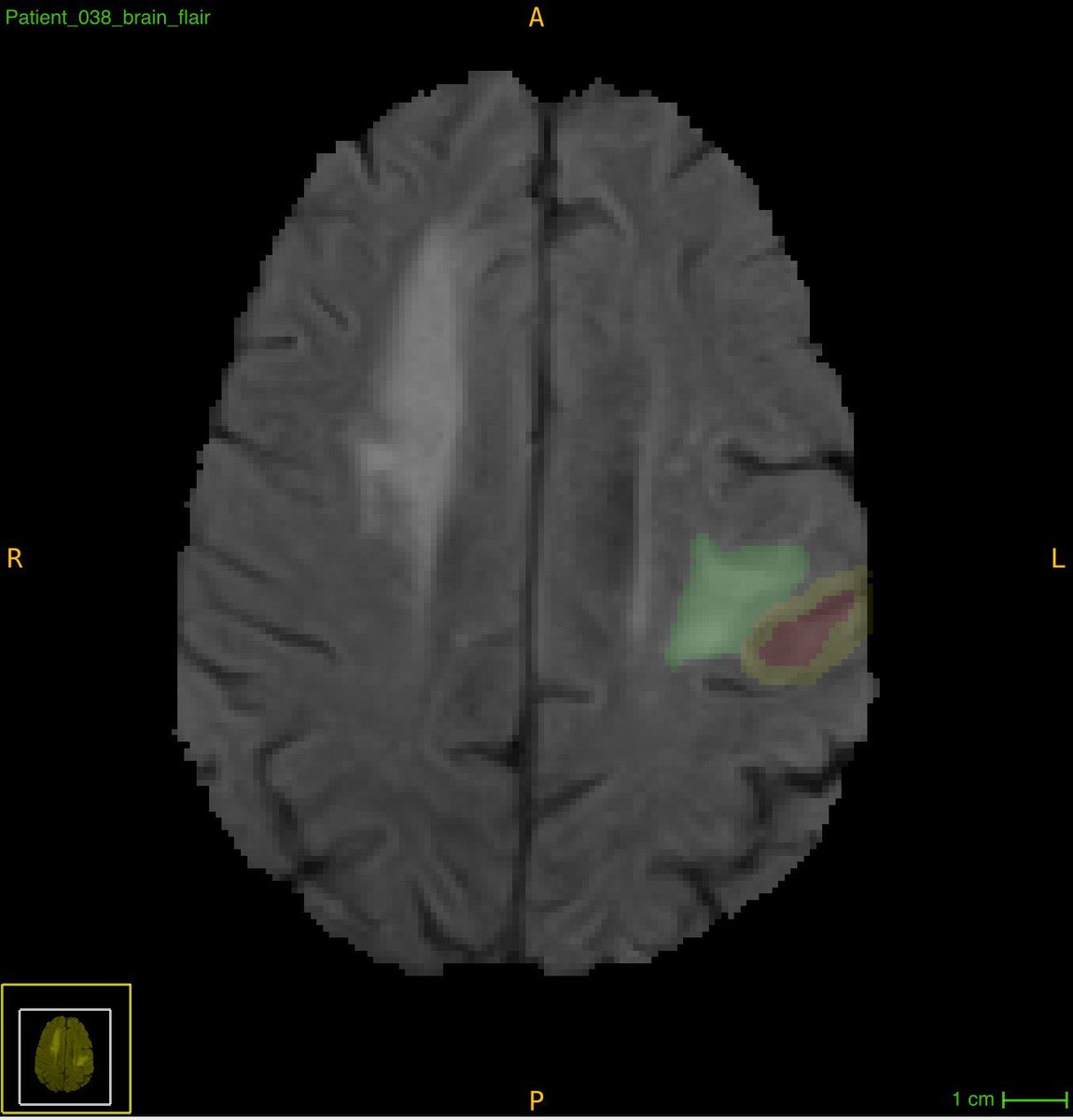 Anastasia Janas tweet media