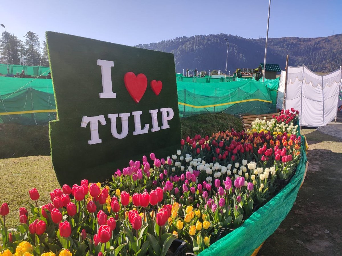 dcramban's tweet photo. Hon'ble Lt. Governor, J&amp;K, inaugurates Tulip Garden at Sanasar. Announces linking Sanasar with Sana by 2.5 km road network for circular connectivity, playgrounds in Ramban Dist. @diprjk @OfficeOfLGJandK @Rameshkumarias @JandKTourism @JammuTourism @ANI @infjammu @Divcomjammu https://t.co/yEfmF6OIXj