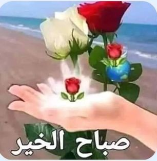 asmt_s's tweet photo. @DhkyLyly ربنا يسعد قلبك ويحفظك ويحققلك كل لي بتتمنيه يارب العالمين
#حبيبتى https://t.co/69PlIwoJiM