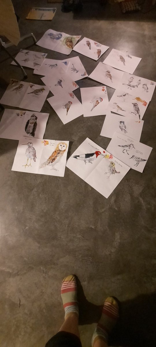 AngelaBrew57381's tweet photo. #DrawABirdDay I drew birds #brewdraw #birdsofnewyork https://t.co/lPk7OljEau