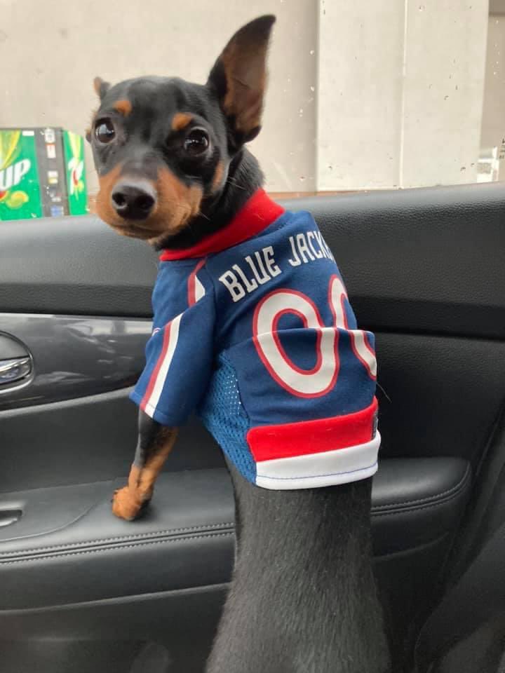 hemming_kim's tweet photo. Let’s raise the Woof!!! @CBJArtillery @BlueJacketsPR @DeltaDental @OhioHealth https://t.co/QD2MM5aNTs