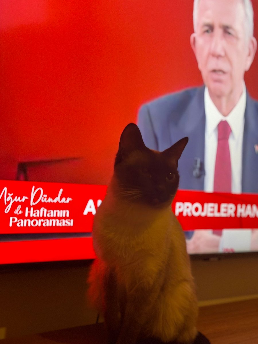 benimki biraz ünlü galiba 👉👈