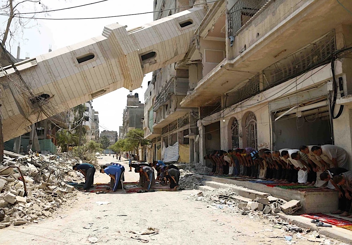 Mesut Cihat🇹🇷🇵🇸 (@mesutcih4t) on Twitter photo 