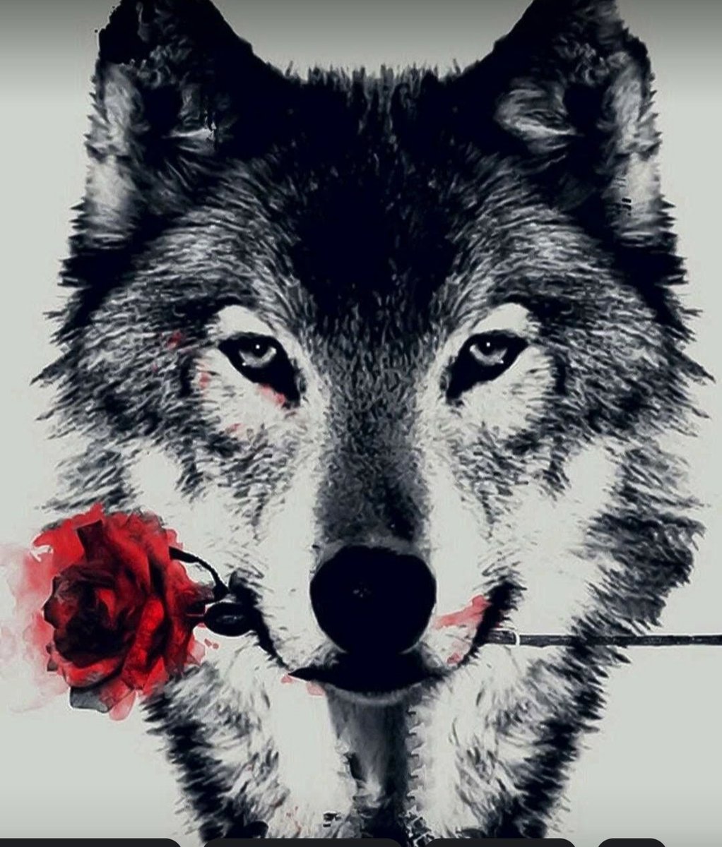 وفي #رمضان 🌙

صوموا عن النفاق، والحقد، والغل، والشر، والأذى، وكسر الخواطر قبل أن تصوموا عن الطعام."

ـــــــــــــــــــ 🍃🌹🍃 ــــــــــــــــــ