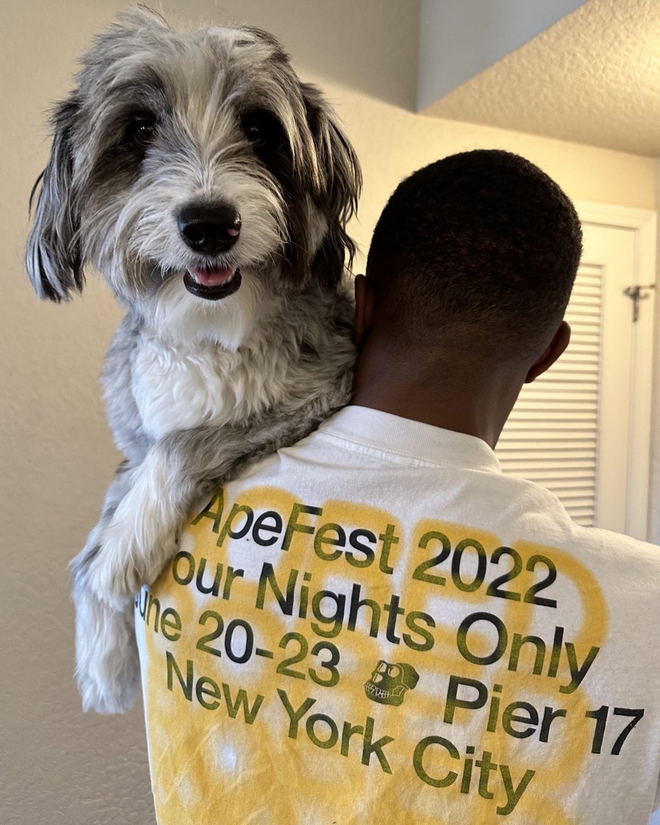 Brooklyn loves <a href="/BoredApeYC/">Bored Ape Yacht Club 🍌</a> 🤩