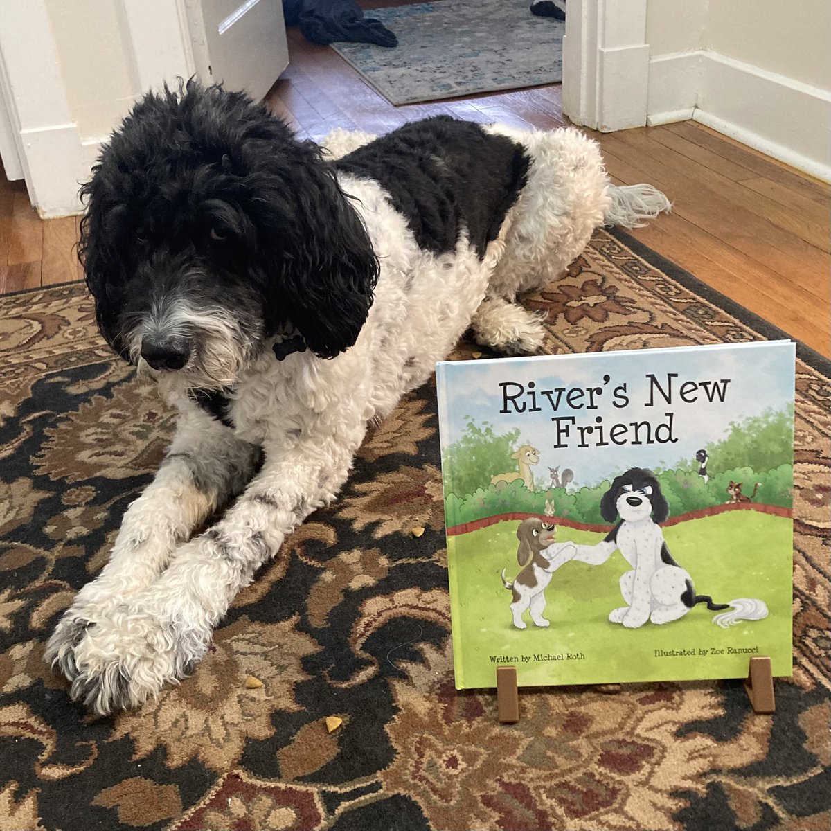 #picturebook #dogbook #dogs #goldendoodle #kidslit #childrensbook #writingcommunity #readersoftwitter
