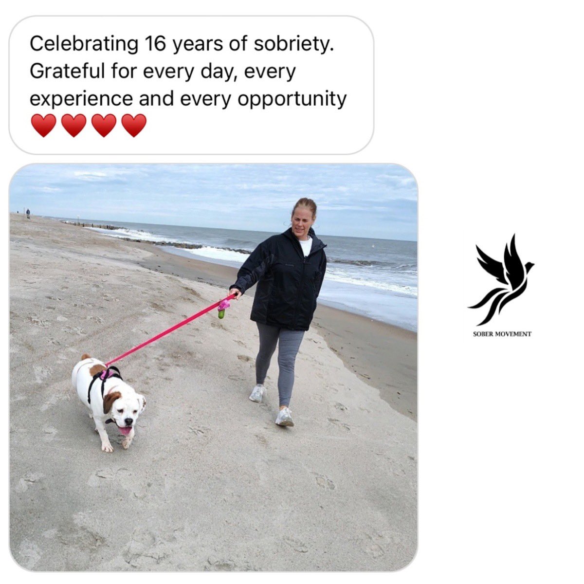 Sober Movement tweet media