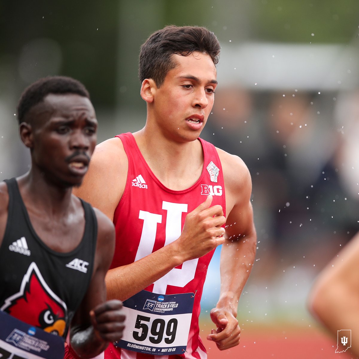 Indiana Cross Country + Track & Field tweet media