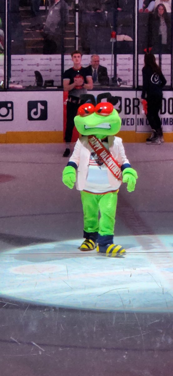 blocskull's tweet image. @BlueJacketsNHL #5thLineThanks  #cbj    5thline #stinger #CBJ    
My favorite memories of this stinging season was with my niece on valtimes day and her first game. She started out wanted to beat Stringer up to wanting to give him kisses and hugs. And wining in in over time