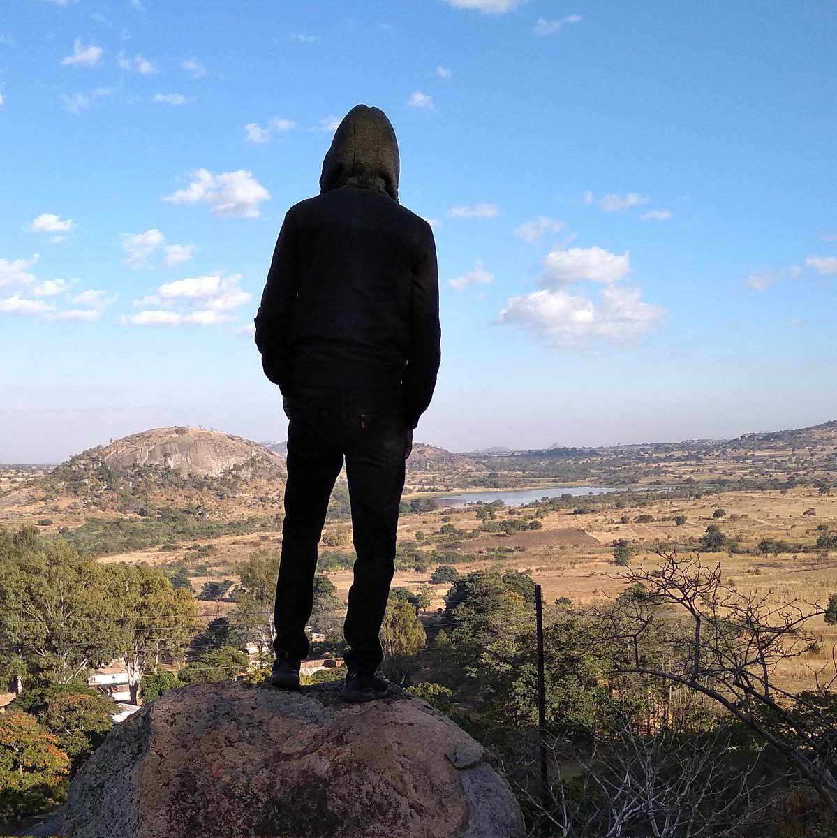 zedmuntu's tweet image. 