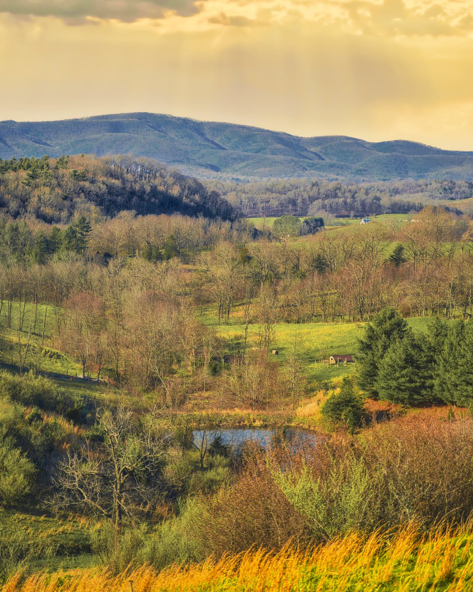 Virginia is for buzzards 🦅 

.⁣
.⁣
.⁣
.⁣
.⁣
⁣
#hiking ⁣
#wandern ⁣
#traveller ⁣
#getoutside ⁣
#optoutside ⁣
#wanderlust ⁣
#folkscenery ⁣
#cravethewild ⁣
#earthhotspots ⁣
#traveltheworld ⁣
#wonderoutdoors ⁣
#wildernesstones ⁣
#theglobewanderer ⁣