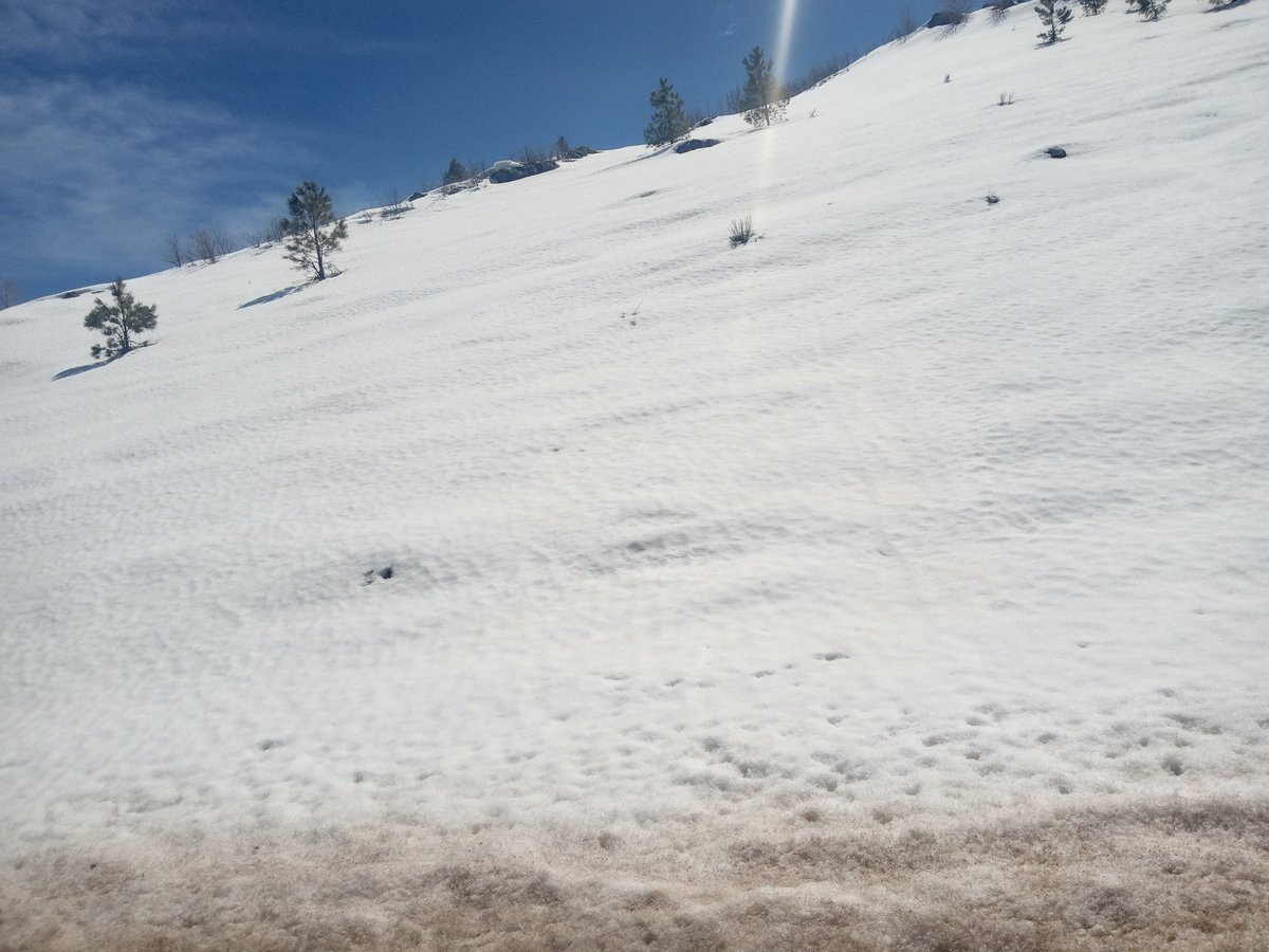 AlexChehade4AZ's tweet image. Utah? ❤️💛💙
Happy birthday Sara! 🧁
💜💚 #Forever36 #Alex4Gov 🤍🖤