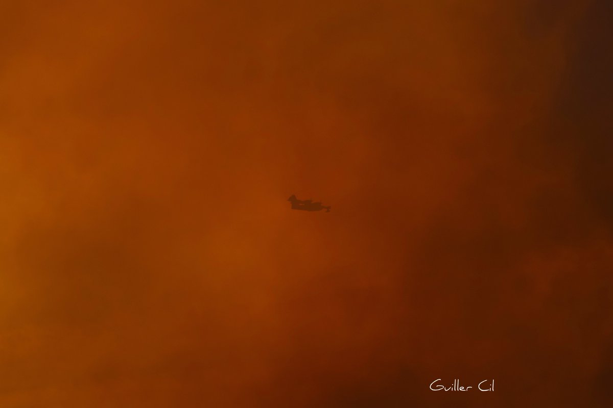 GuillerCil's tweet photo. El #Canadier del #43Grupo del @EjercitoAire, desapareciendo hoy entre el humo del infierno. #IFLasRegueras #Asturias 8/4/23, 20:27h.
#AsturiasArde #QuemanAsturias
@torpegun @samupinon https://t.co/tlnGGIewej