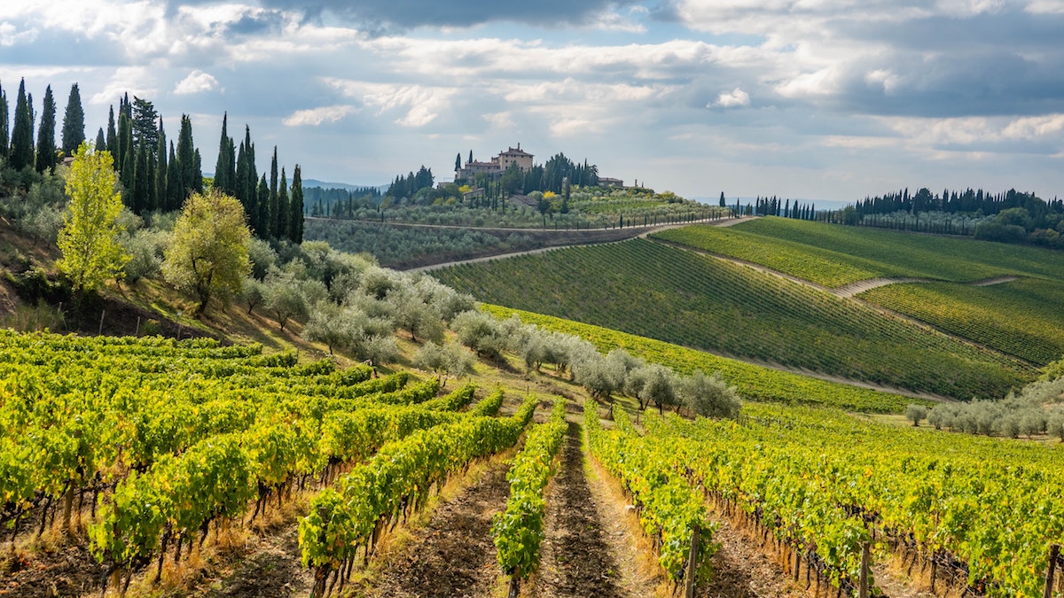 Take youself on a little trip to Tuscany this weekend with this fantastic introduction to Tuscan wines: buff.ly/3KJB65w @forkmespoonme @FrescobaldiVini @VisitTuscany @DivaVinophile @Rebel_Vino @winewankers @WineOnTheDime @wineNweather @LiveaMemory @BrendaGott
