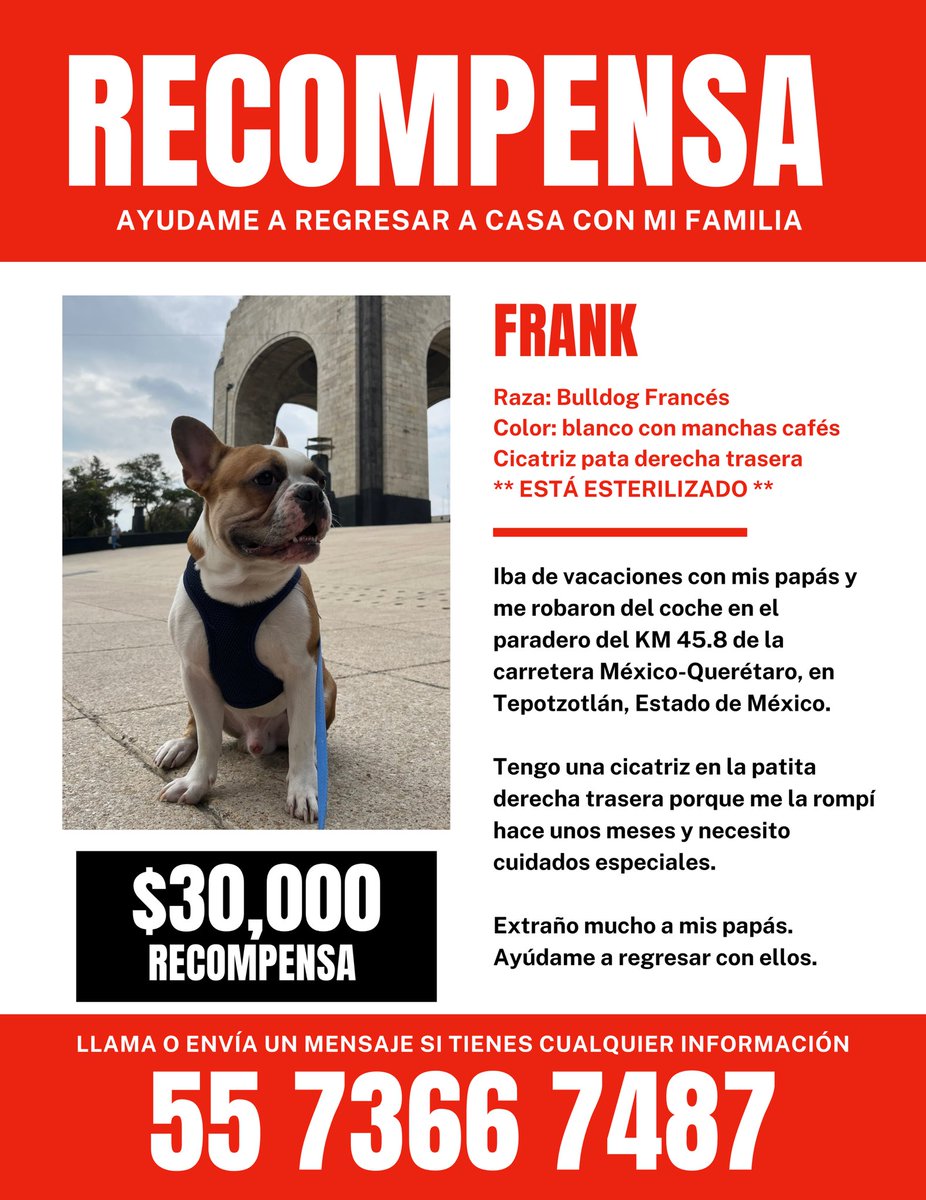 MajoMartinezP_'s tweet photo. 🚨Soy Frank y un hombre que no conozco me robó del coche en el que íbamos de viaje con mis papás!

😭Ayúdenme a compartir y etiquetar a @FiscaliaEdomex @SS_Edomex @C5Edomex @EstatalEdomex @CAPUFE @GN_MEXICO_ para regresar a casa🙏

Tengo miedo. Me extrañan mucho y yo a ellos 💔😭 https://t.co/PiNSWqyaXU