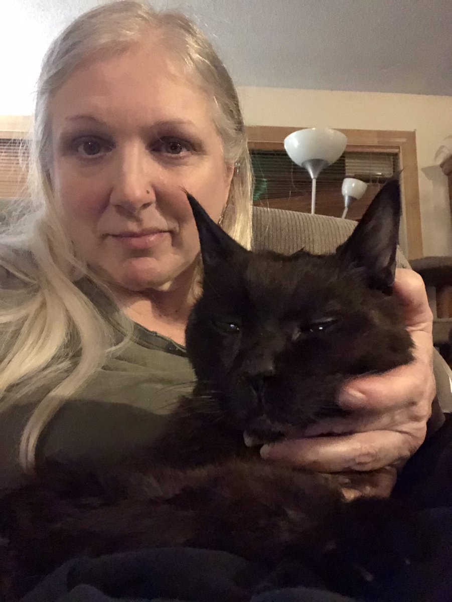dingostewart's tweet photo. When I see a post of an animal crossing over #TheRainbowBridge, I’m gutted. Our fur babies are family, and their absence is cruel for all of us left behind. The veil between the worlds is thinning for my beloved Fionn McCumhail (Finn McCool). Please pray for him. He’s 18 y.o.❤️🙏 https://t.co/IYcf6M7pFf