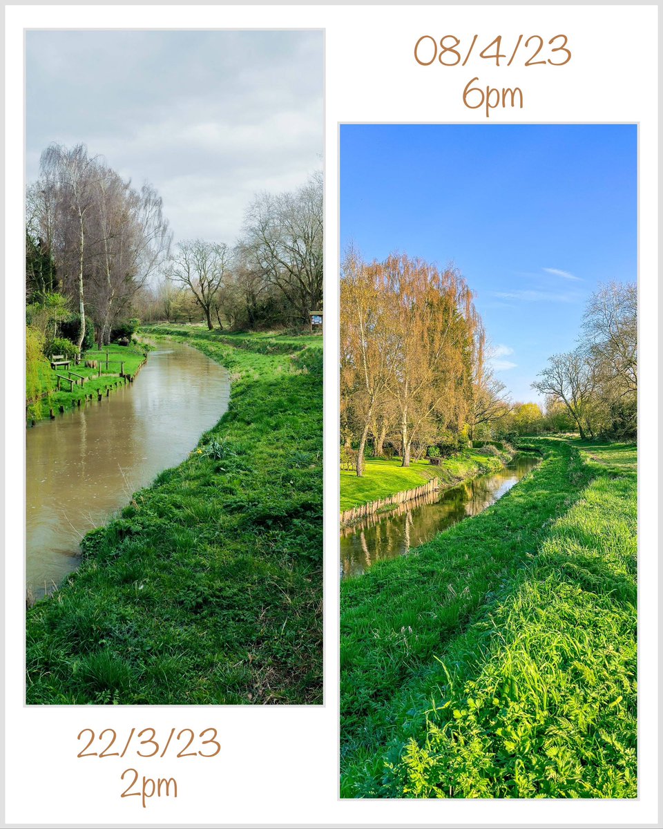 riverfossYork's tweet photo. It’s a lot less clarty two weeks on!
#riverfoss #york #riverside #riverpath #riverwalk https://t.co/5s9AAT0xG2
