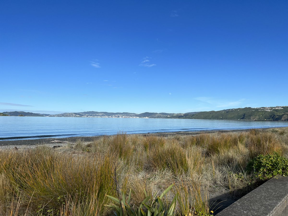 stacygmclean's tweet photo. Walking along Petone foreshore for some Sunday morning exercise https://t.co/J58bz2JD0a