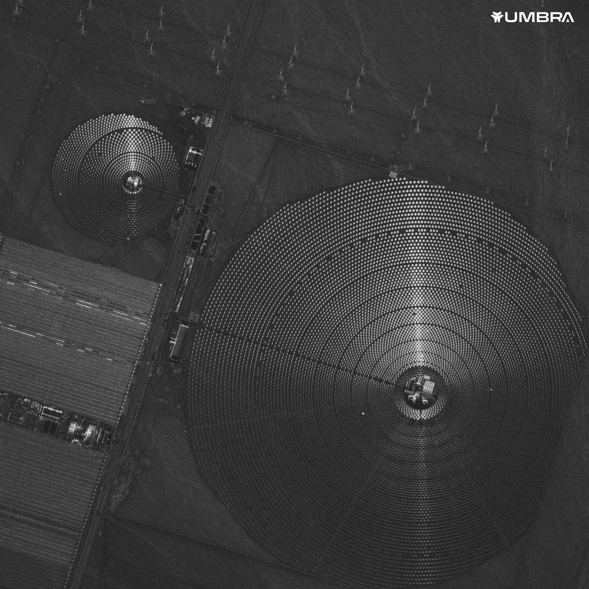 Todd Master tweet media