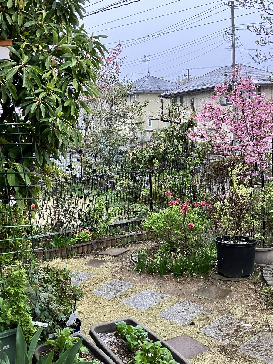 Dublin_Castle's tweet photo. ビックリ!
#福島市 は雪ですよ!
桜が散って #新緑 なのに
#空ネット
#springsnowfall https://t.co/6sndIT6IYa