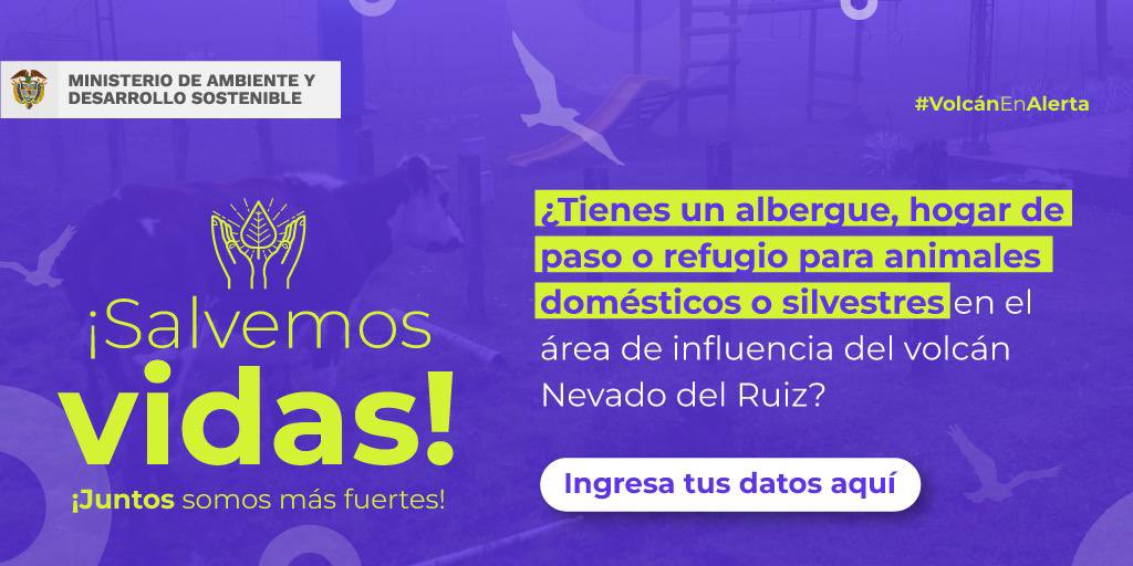 MinAmbienteCo's tweet photo. ¿Listos para salvar animalitos? 🐈 🐕 🌋

Ayudemos a preservar sus vidas durante la evacuación por una posible erupción del volcán Nevado del Ruiz, suministrando información sobre albergues, refugios y hogares de paso.
#VolcánEnAlerta. Deja aquí tus datos: https://t.co/OO2LLkOrfC https://t.co/UjuGnPv4Lo