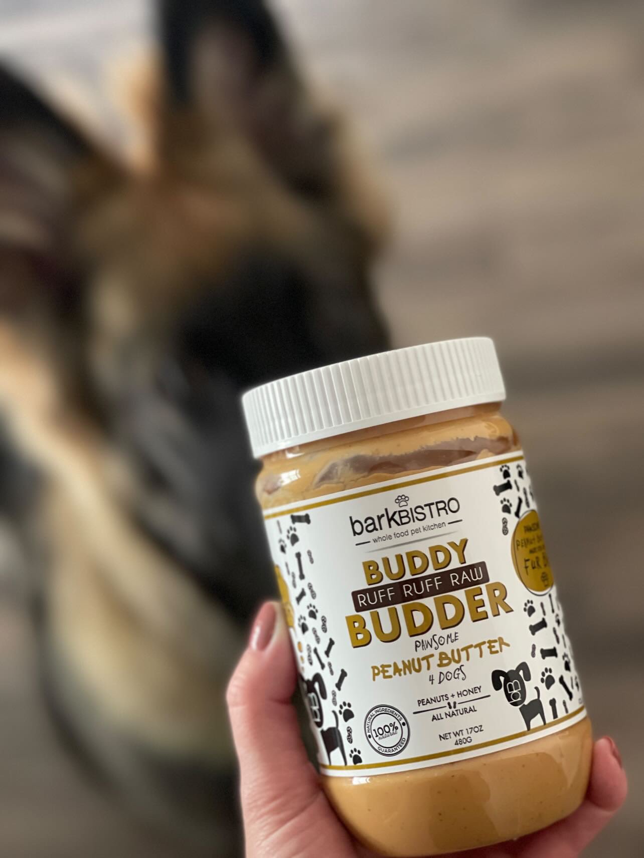 Bark Bistro Company Birthday Bash Buddy Budder Dog Treat, 17-oz Jar