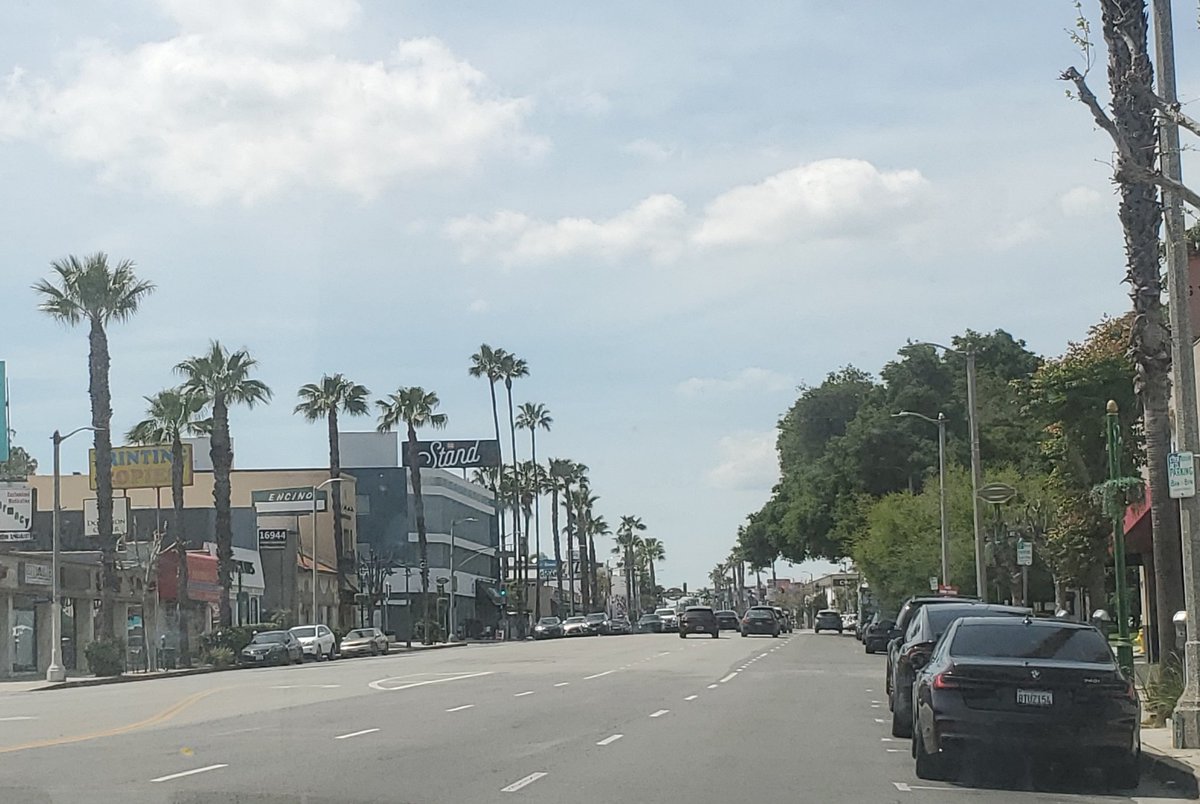 therealjomo33's tweet photo. Driving down Ventura Blvd. in the Valley (no vampire sightings) looking for a good dojo. Anybody know where Johnny Lawrence lives? #thevalley #allvalley https://t.co/ieDAFIS98N