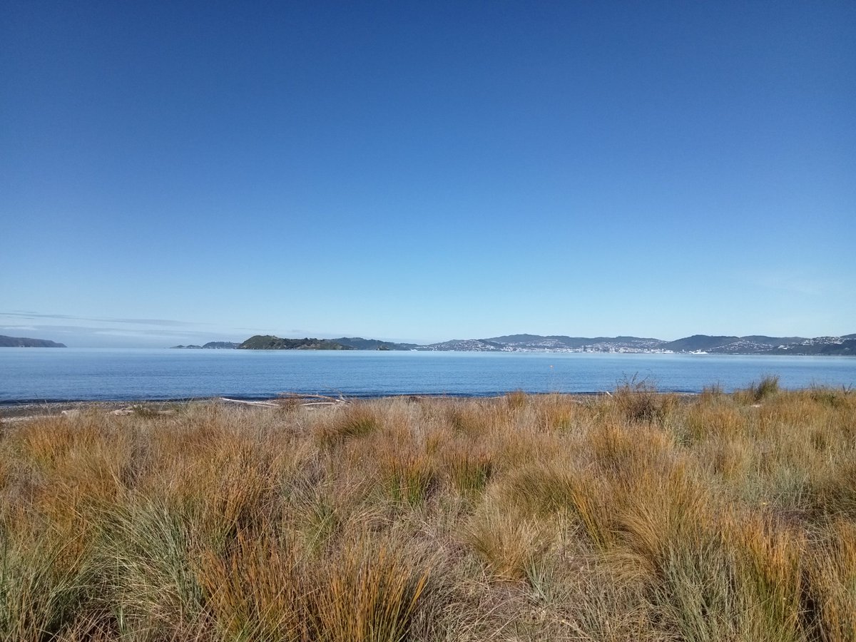 CABPetone's tweet image. Looking towards Wellington from #Petone beach.