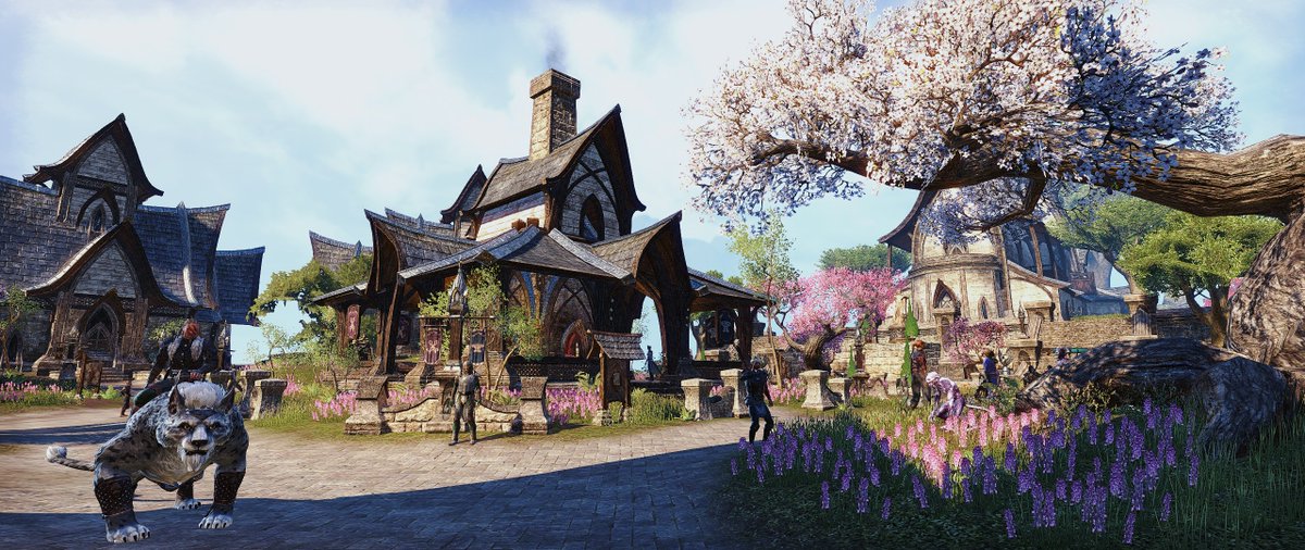 Xylluk's tweet photo. Another day around Vulkhel Guard
#ESO #ESOFam #ElderScrollsOnline #Auridon #VirtualPhotography #ElderScrolls https://t.co/ERJnt3zdrH