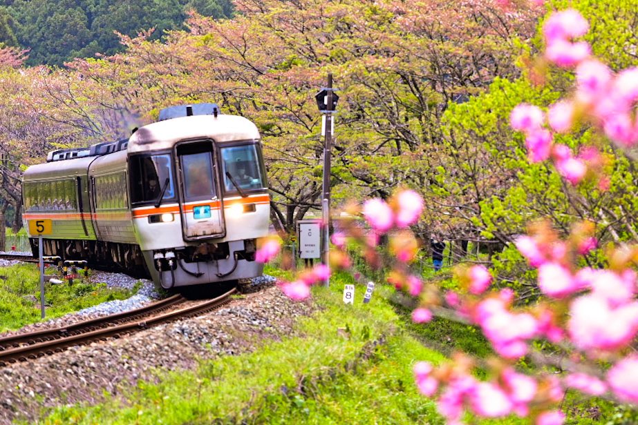 南紀特急
春も終わりかな

#japantrain 
#trainphotography 
#grand_transports
#railways_worldwide
#traingallery_ig 
#total_rail 
#trainstagram 
#train_vision 
#total_japan 
#japan_photo_now 
#ptk_japan 
#art_of_japan_