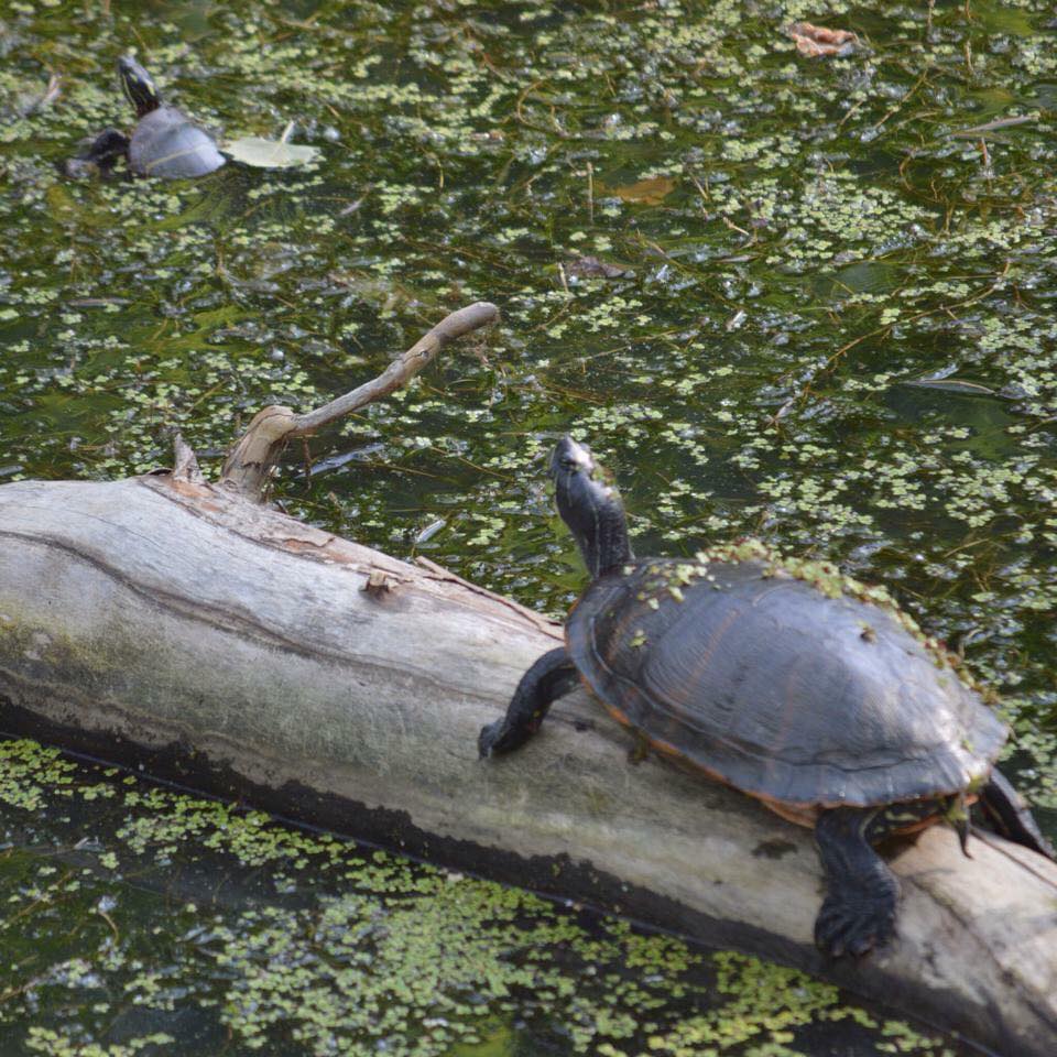 “I’m sorry Jack, there’s just not enough room…”