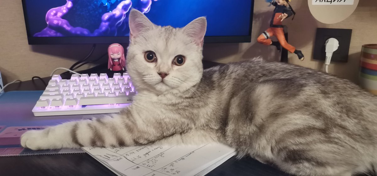 janeknyaz's tweet photo. Морально вдохновляет на великие дела🥰 https://t.co/JjY4xusl4G