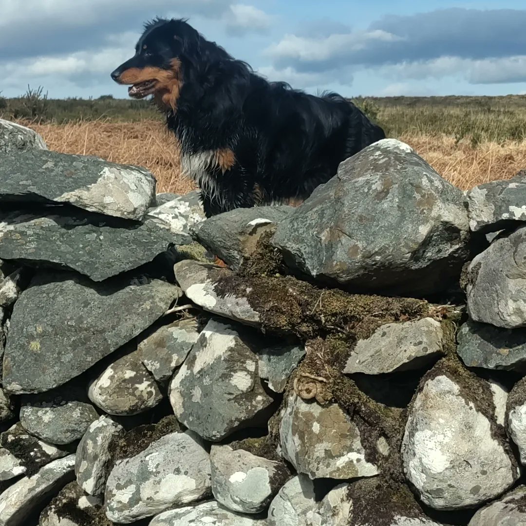 jupiter18's tweet photo. Our Easter walk https://t.co/SzUOY91YP8