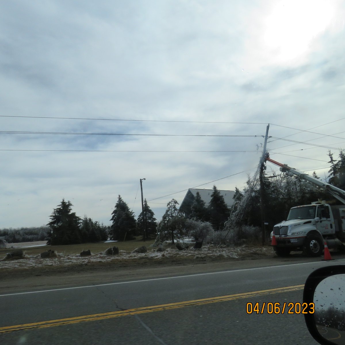 CritterCamGorilla😊 on Twitter "Electrical poles broke under the extra