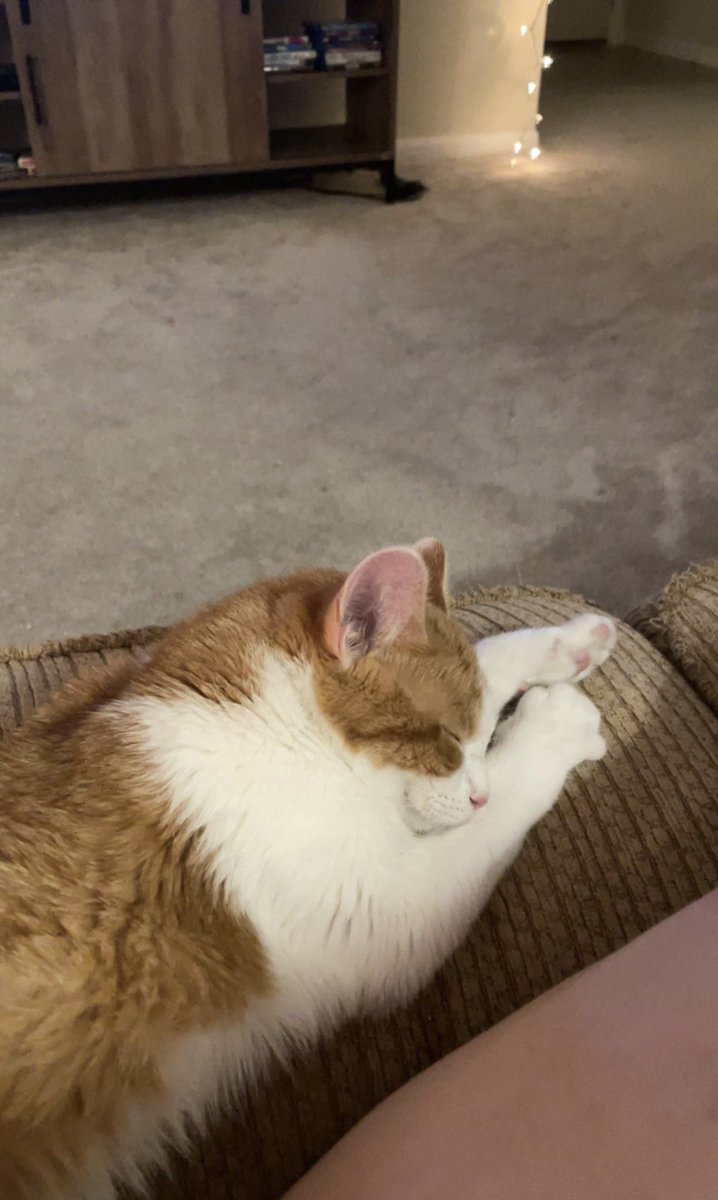 allinoblee's tweet photo. true happiness 🥰 https://t.co/bDrQN6OeCl