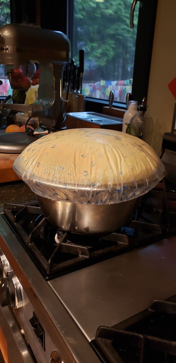 GastroHistory's tweet photo. Oops. Time to punch it down. #paskabread https://t.co/t1vS6Fmcp0