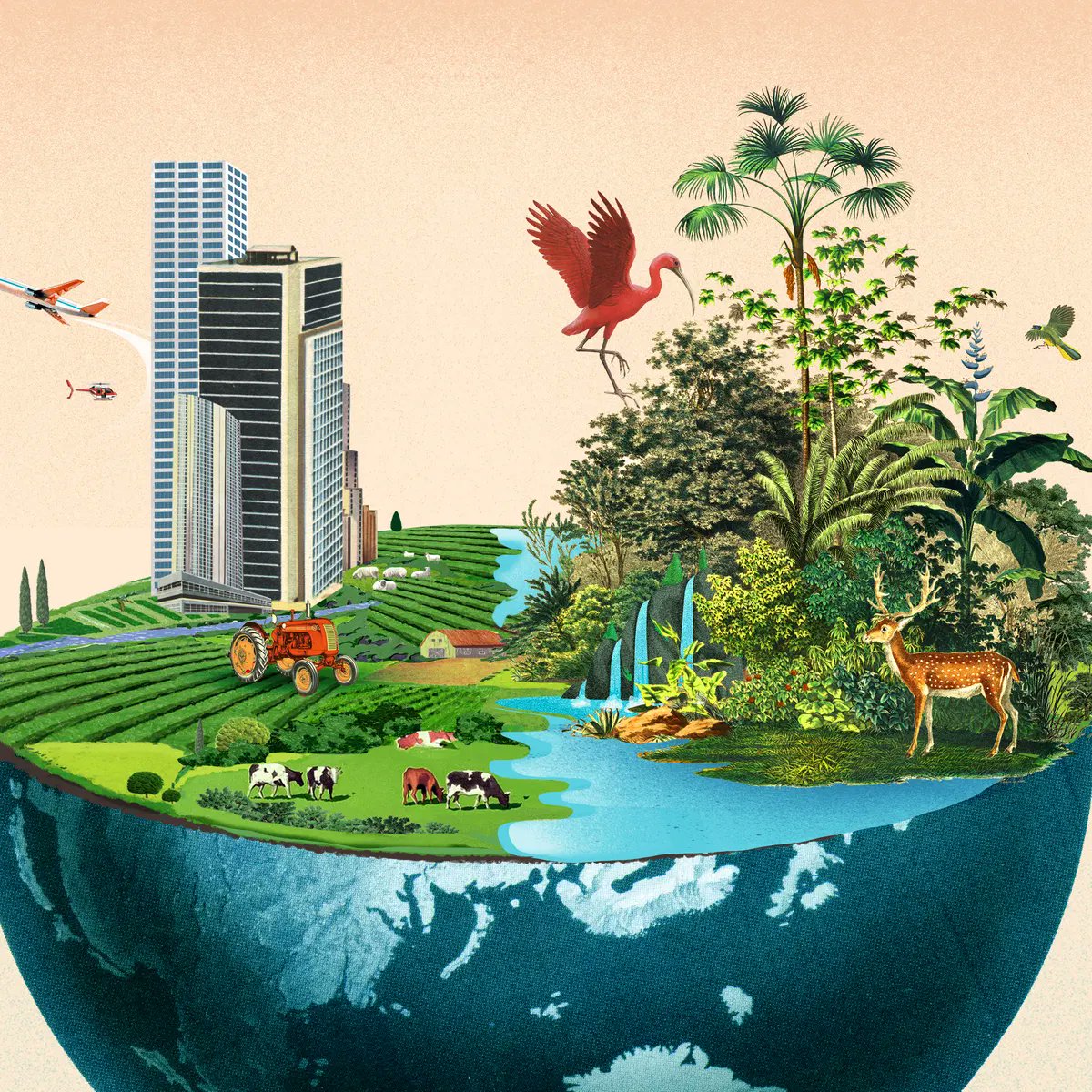 DigiNFTs's tweet photo. Did you know that biodiversity is the foundation of life on earth? It includes all plants and animals, the genes they contain and the ecosystems they form. #BiodiversityMatters #DigiOfficial #Biodiversity  @StevenBrooksPh1 #nature #naturelovers #wildlife 

https://t.co/4jGiwTZDc5 https://t.co/Oz2ZUB8ewq