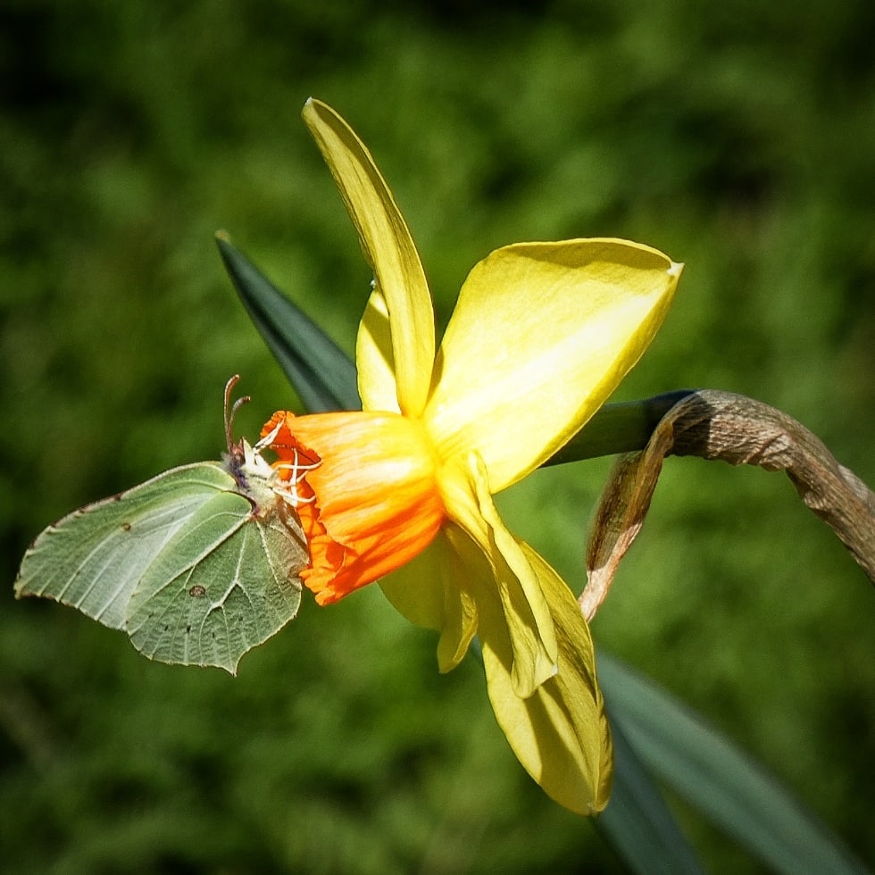 Happy Easter ! #photography #easter#ukpotd #sunshine