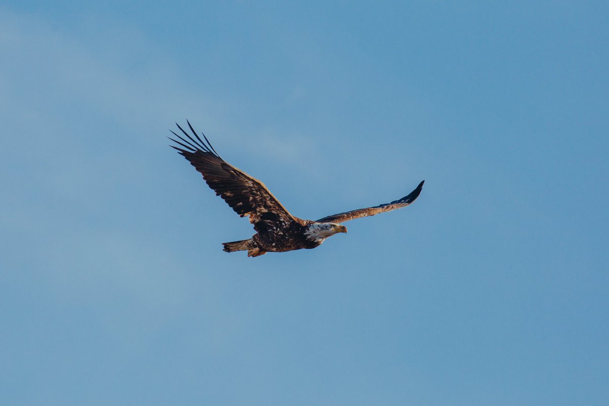 This photo sounds like Bruce Springsteen