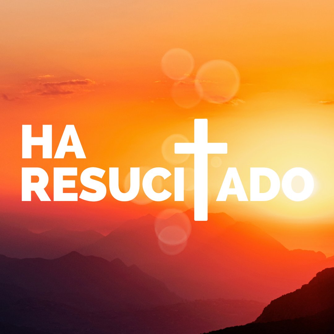 ¡¡Aleluya!! ¡¡Resucitó!!

#SemanaSanta #DomingodeResurección #Aleluya #Resucitó #RegalosCristianos #LibrosReligiosos #ArtículosReligiosos #Fe #Católicos #Alicante #Elche