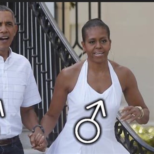 Ann Lesby, PhD (she/her) 🌈 on Twitter "Michelle Obama is NOT a man