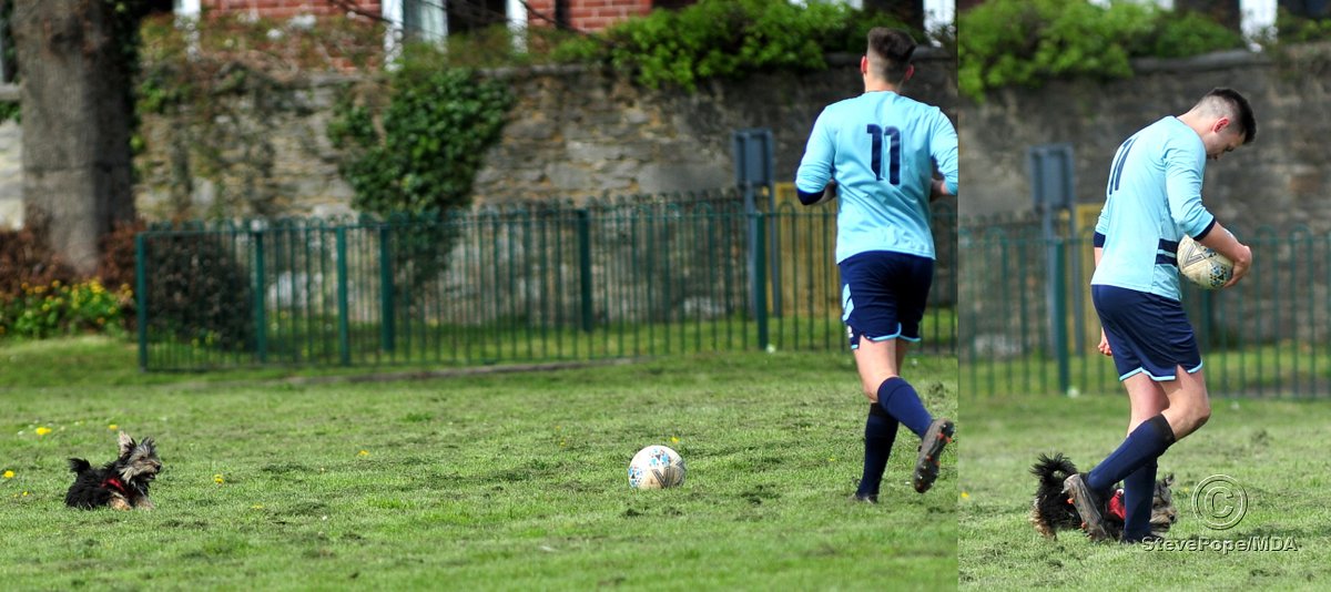 Don't get this at <a href="/wembleystadium/">Wembley Stadium</a> Or <a href="/EmiratesStad/">Emirates Stadium 🌐</a> . Or <a href="/thisisanfield/">This Is Anfield</a> .
But at Osborne Park.....<a href="/sdfl2020/">SDFL</a>  <a href="/NewtonAbbot66/">Newton Abbot 66</a>