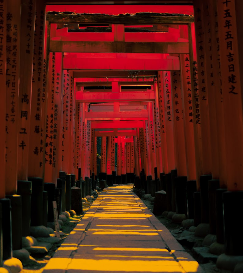 anocam_'s tweet photo. Accidentally Wes Anderson in Japan https://t.co/LvqKi8ECNY