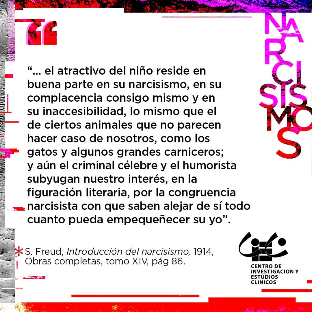 CbaCiec's tweet photo. 🪰 Para volar a inscribirse, este link: https://t.co/ugq8jR57sY  🪰 https://t.co/E8BaQhvNpN