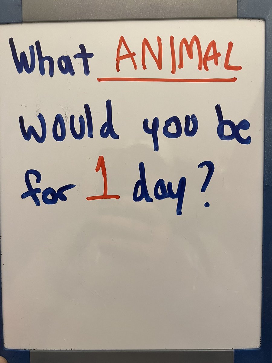 Kentucky Softball on Twitter "🐶🐱🐯🐮🐸🐣🐒🦋"