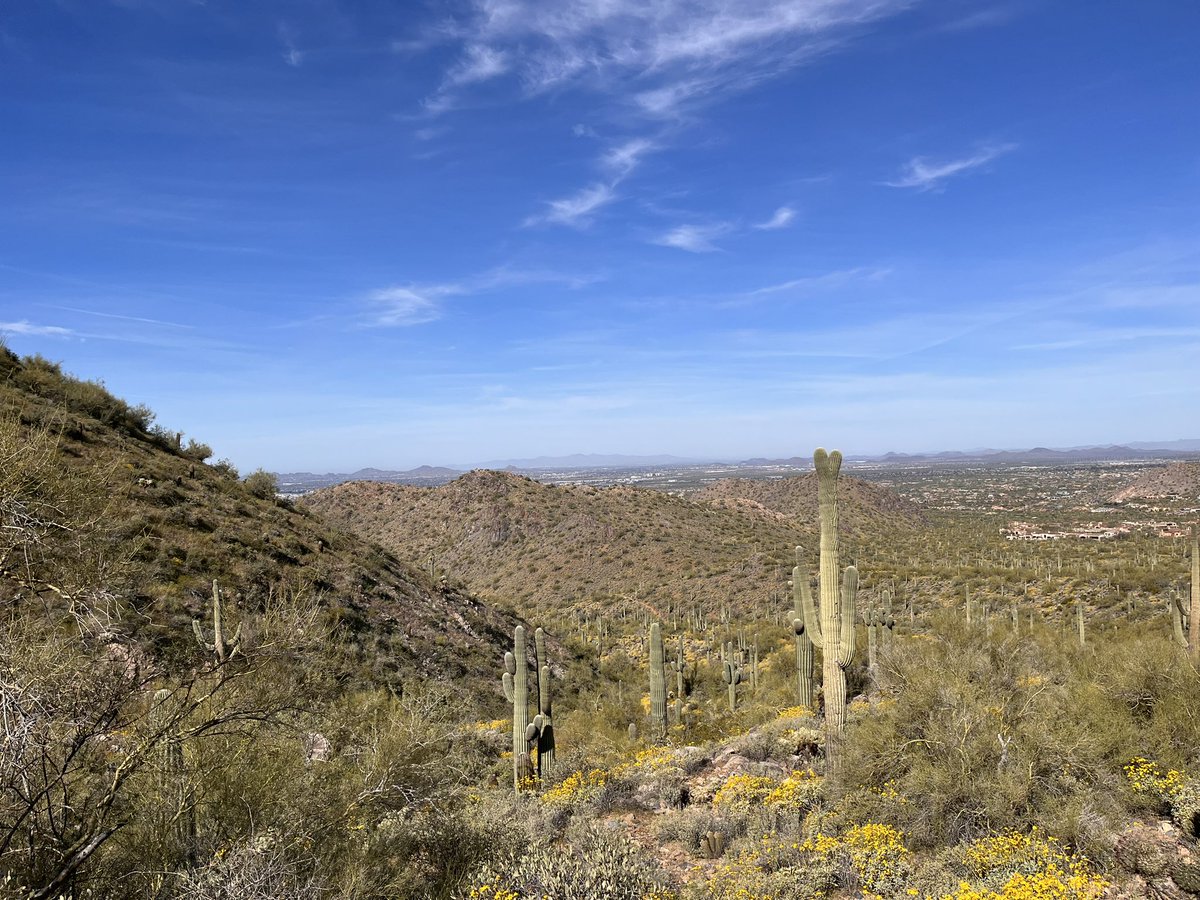 drjohnmeade's tweet image. The #PHX #AZ hikes are still amazing, even into April this year. Wonderful 9.5 miler through the McDowell range this morning. #gitit