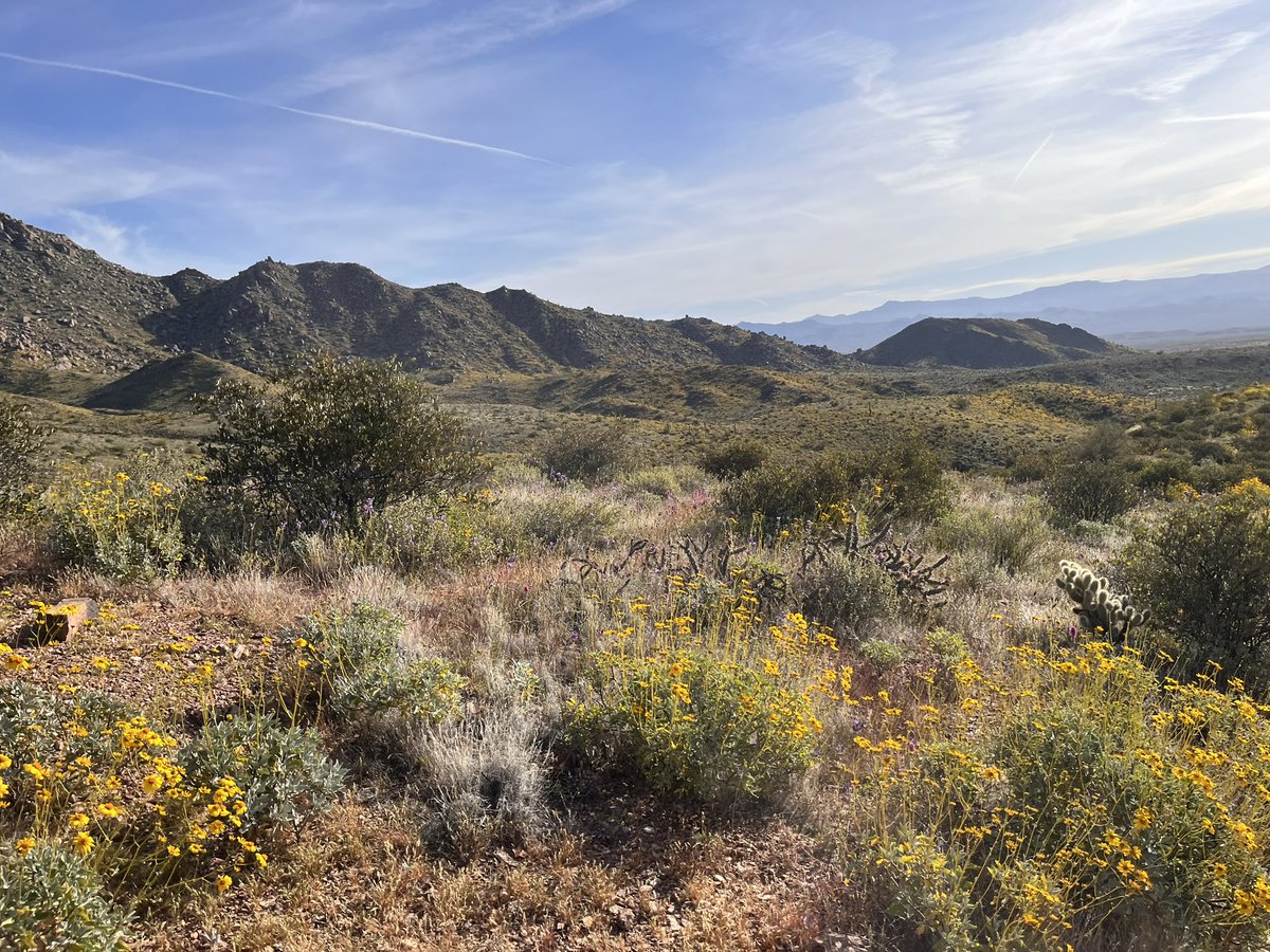 drjohnmeade's tweet image. The #PHX #AZ hikes are still amazing, even into April this year. Wonderful 9.5 miler through the McDowell range this morning. #gitit