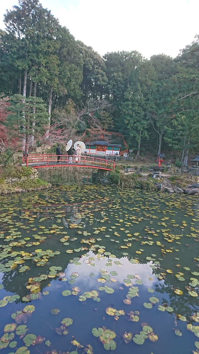 #人がいるから返って良かった写真
京都の大原野神社にて
結婚式の予行あるいは結婚式用の広告撮影かと