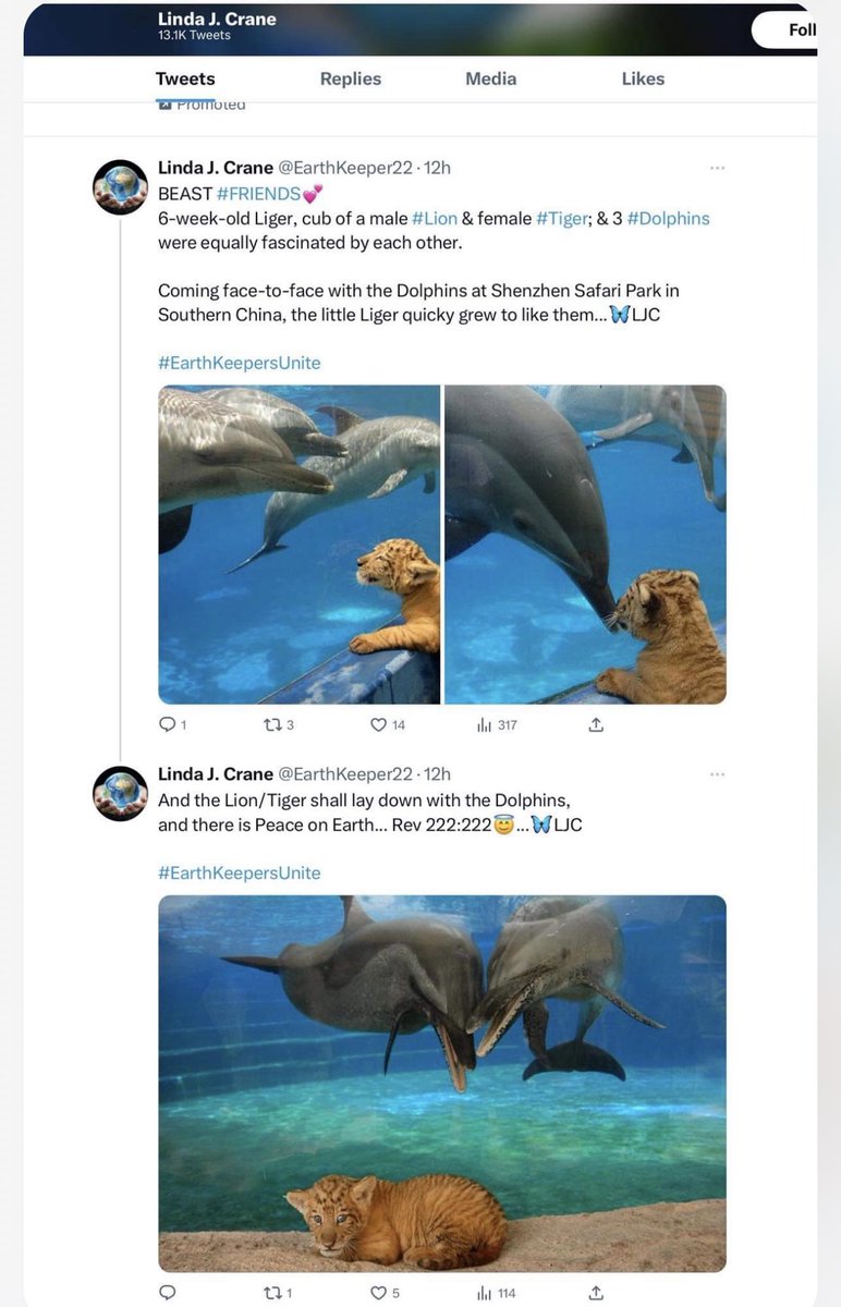 RileyTChiweenie's tweet photo. @EarthKeeper22 PLS STOP POSTING #ANIMALS IN #Captivity. The story us from an old article but the cruelty remains the same. Dolphins are round up in coves, taken from their family, packed in a box &amp; sold to the highest bidder #SchenzhenSafariPark has a history of #AnimalCruelty https://t.co/ex9qQsDrUa